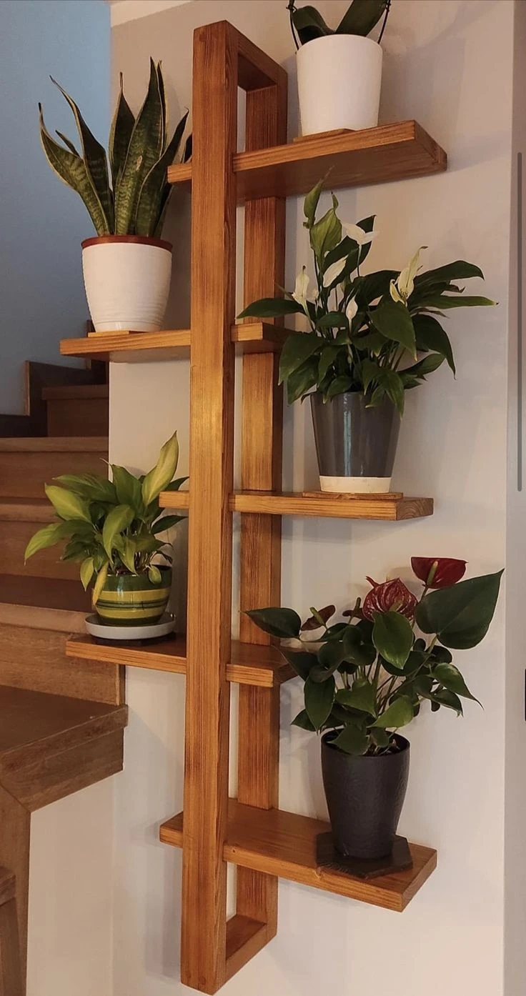 Shelves